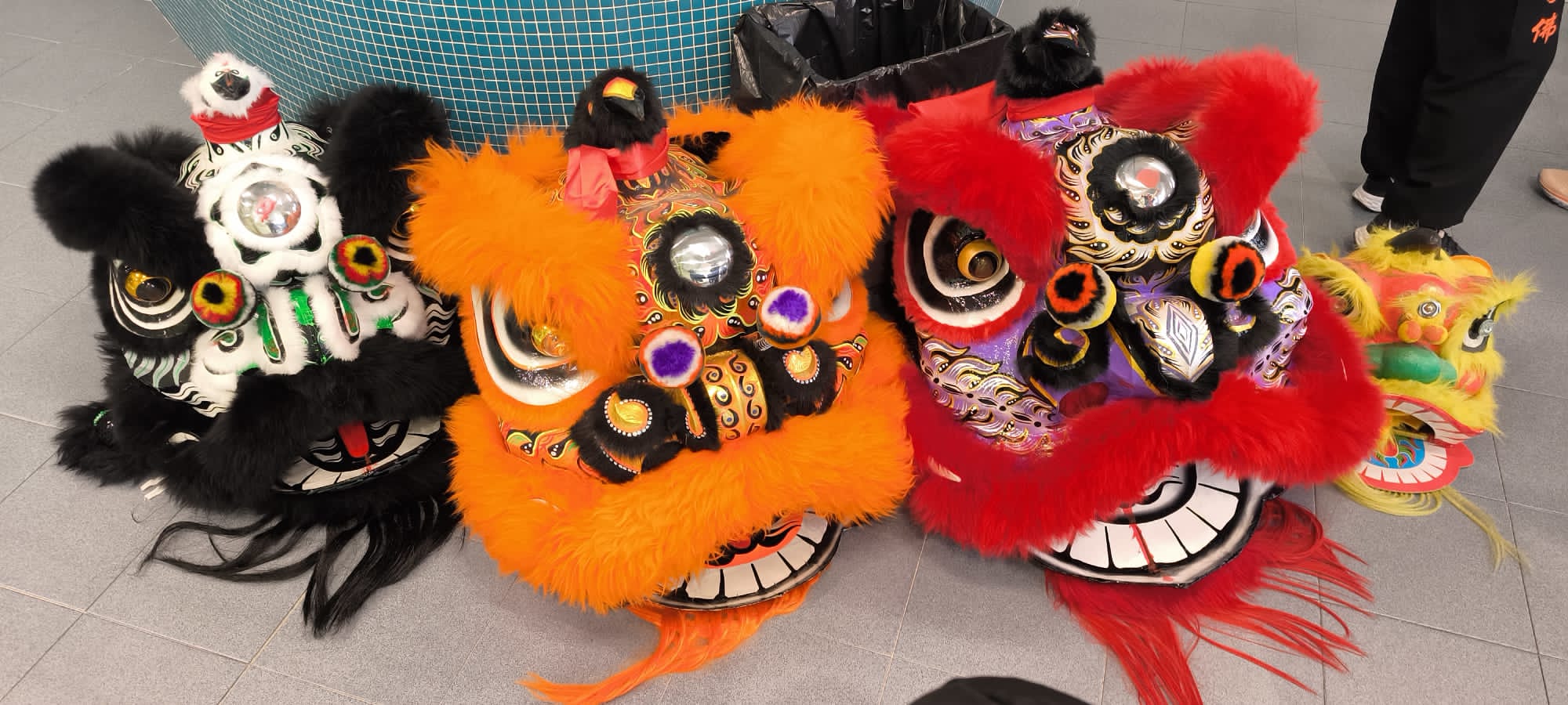 Curso de Danza del León 2025